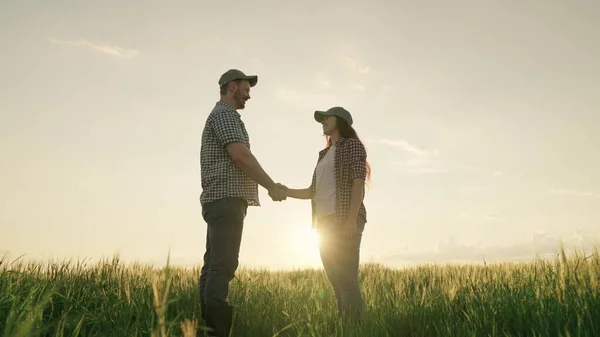 Man and woman shake hands in a field with wheat at sunset in the sky, the concept of a happy family business, life and work in agriculture, farmland for growing rye, take care of grain plants together — Stock Photo, Image