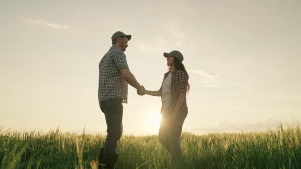 Hombre y mujer se dan la mano en un campo con trigo al atardecer en el cielo, el concepto de un negocio familiar feliz, la vida y el trabajo en la agricultura, tierras de cultivo para el cultivo de centeno, cuidar de las plantas de grano juntos — Vídeos de Stock