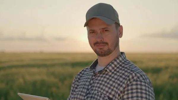 Agricultor trabalha com um tablet em um campo com trigo verde, o conceito de negócio agrícola, um agrônomo verifica as mudas de centeio, tecnologias modernas de grãos na agricultura, um jardineiro — Fotografia de Stock