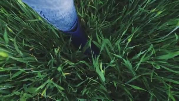 Caminando con los pies en botas de goma en un campo de trigo, trabajo de granja en el prado, parcelas agrónomas de negocios de la tierra, el cultivo de granos de trigo para el pan, rancho de jardín — Vídeo de stock