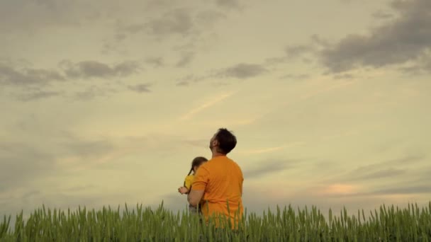 Klein gelukkig kind vliegt als een vliegtuig tegen de achtergrond van de lucht, het concept van een gelukkig gezin met vader, vrolijk kinderachtig leven, kind lacht in de handen van zijn vader, steek zijn handen op — Stockvideo
