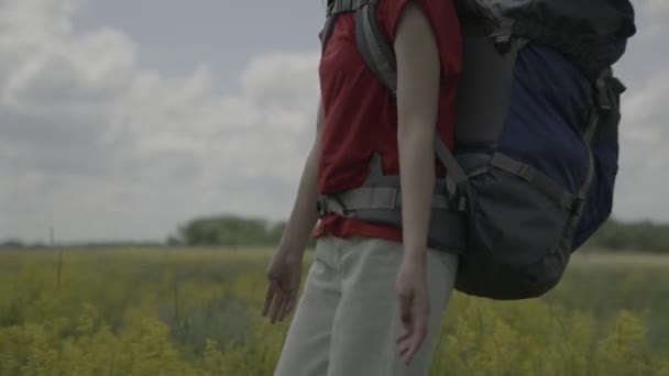 Bir gezgin parktaki kır çiçeklerine dokunur, bin yaşındaki bir kız sırt çantasıyla ormanlık bir alanda seyahat eder, doğada macera aramak için aktif bir turist gezisi — Stok video