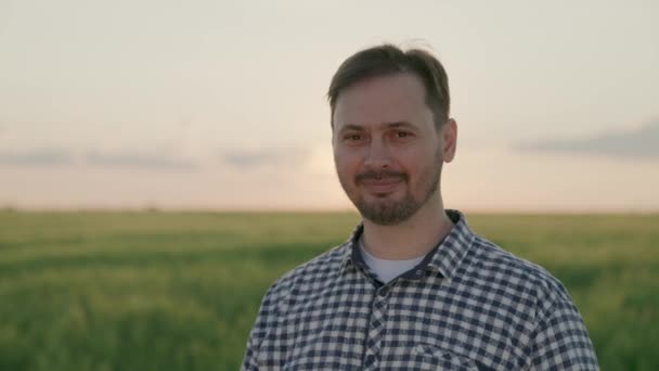 Agricultor trabaja con una tableta en un campo con trigo verde, el concepto de negocio agrícola, un agrónomo controla las plántulas de centeno, las tecnologías modernas de grano en la agricultura, un jardinero masculino — Vídeo de stock