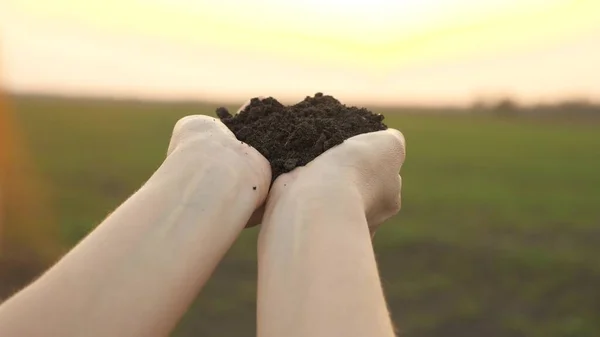 Tierra en manos de un primer plano, la vida rural de un agrónomo, la preparación y fertilización de la superficie de la tierra para la plantación de verduras, bayas, frutas y plantas cultivadas, preservar la ecología —  Fotos de Stock