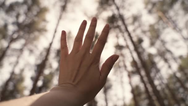 Una mano del hombre en los rayos del sol alcanza el cielo, el tiempo para soñar y viajar, para orar pidiendo ayuda en la vida, creencias religiosas de diferentes nacionalidades, la cámara lenta de una mano en movimiento en — Vídeo de stock