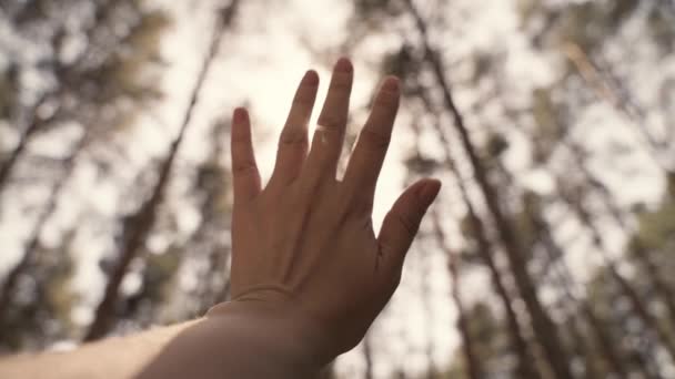 Uma mão de homem nos raios do sol alcança o céu, tempo para sonhar e viajar, para rezar pedindo ajuda na vida, crenças religiosas de diferentes nacionalidades, o movimento lento de uma mão em movimento — Vídeo de Stock