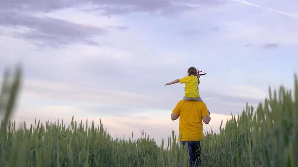 Een vader met een klein kind rent over het veld met tarwe met een vliegtuig in zijn hand, het concept van een gelukkig gezin, een boer op zijn ranch speelt met een kind in de vlucht, rogge in de landbouw — Stockfoto