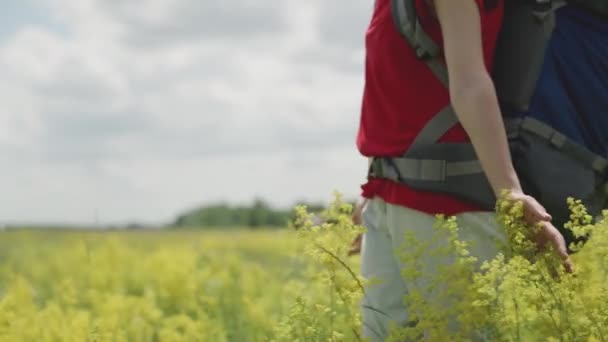 Eine Hand streift Wildblumen in einem Park, ein tausendjähriges Mädchen reist mit einem Rucksack durch ein Waldgebiet, eine aktive Touristenreise auf der Suche nach Abenteuer in der Natur — Stockvideo
