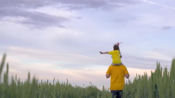 Een vader met een klein kind rent over het veld met tarwe met een vliegtuig in zijn hand, het concept van een gelukkig gezin, een boer op zijn ranch speelt met een kind in de vlucht, rogge in de landbouw — Stockvideo