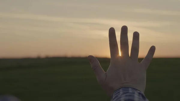 Happy mans hand at sunset. Sunset between the hands of a man. Happy man with dreamily stretches out his hand to the sun. Dream hand to the sun. happy family concept