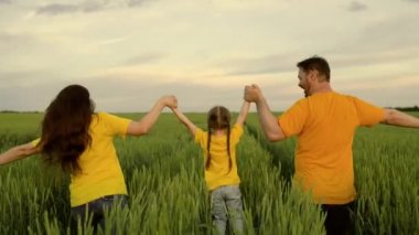 Yeşil buğday tarlasında koşan mutlu bir aile, karısı ve çocuğuyla birlikte bir çiftçi, çavdar tarlasında eğlenen bir çocuk, mısır gevreği yetiştiren bir aile şirketi, filizlenen bir çiftlik.