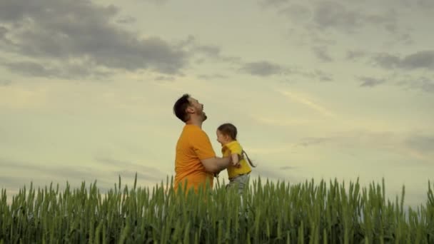 Boldog apa feldob egy kisgyereket az égbe, boldog család, farmer apa játszik a lányával egy mezőn a búzával, lány repül a levegőben, gyermekkori álma, hogy pilóta legyen. — Stock videók