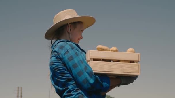 Glad jordbrukare bär en skörd av potatis i en låda från fältet och ler mot himlen, agronomer på jobbet, jordbruk, skörd grönsaker, växande företag på marken — Stockvideo