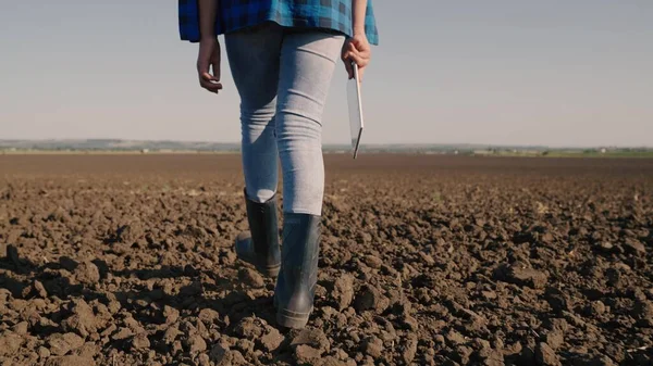 Landbouw, een boer in rubberen laarzen loopt op het omgeploegde land, rust een perceel grond na de oogst, een agronomist controleert de bodem met een tablet in zijn hand, agribusiness van velden in de — Stockfoto