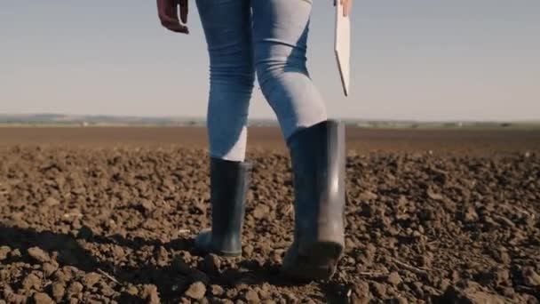 Agriculture Farmer Rubber Boots Walks Plowed Land Resting Plot Land — Stock Video