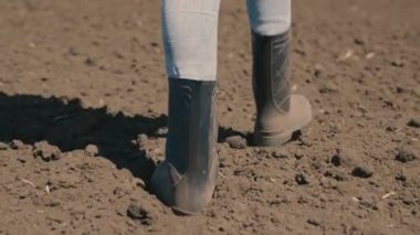 Tarım, kauçuk botlu çiftçi tarlada yürüyor, tarlada hasat yapıyor, çiftlikte yakın plan yürüyen kıdemli tarım uzmanı, kırsal yaşam tarzı, arazi çiftçiliği iş konsepti, çevre