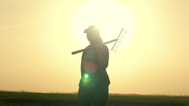 农业，农民带着耙在夕阳西下的余晖中散步，准备种植植物的土地的土壤，农艺学家，在农场工作的女商人的季节工 — 图库视频影像