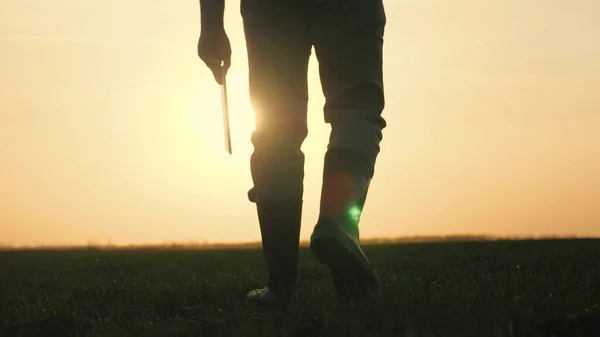 Boer in laarzen loopt de boerderij close-up bij zonsondergang met een tablet in zijn handen, het concept van het werk in de landbouw, het leven van een agronomist in het seizoen van het planten van granen, platteland — Stockfoto