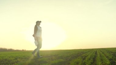 Tarım, çiftçi güneşin parıltısıyla tarlada yürüyor tablette çalışıyor, buğday tarlasında gün batımında çalışıyor, taze yeşil çavdar, filizli gübrelenmiş toprak, kırsal arazide tarımcı olarak çalışıyor.