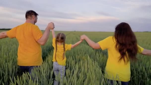 Γεωργία, ευτυχισμένη οικογένεια τρέχει στο χωράφι με το πράσινο σιτάρι, αγροτική ζωή στην ύπαιθρο, φυτεία εργασία γης, παιδικό όνειρο, παίζουν με το μικρό παιδί, πλούσια βλάστηση του εδάφους, πλήρη οικογενειακή ζωή — Αρχείο Βίντεο