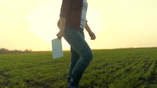 Agricoltura, un contadino lavora sul campo con un tablet, un agronomo cammina in stivali di gomma attraverso il campo con un gadget moderno, affari in terra agricola, lavoro stagionale nelle piantagioni — Video Stock