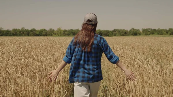 Een vrouwelijke boer loopt door een veld met tarwe en raakt korenaren aan met graan, plantages van rogge, landbouw, een agronomist controleert zaailingen, oogsten, het maken van meel en brood — Stockfoto