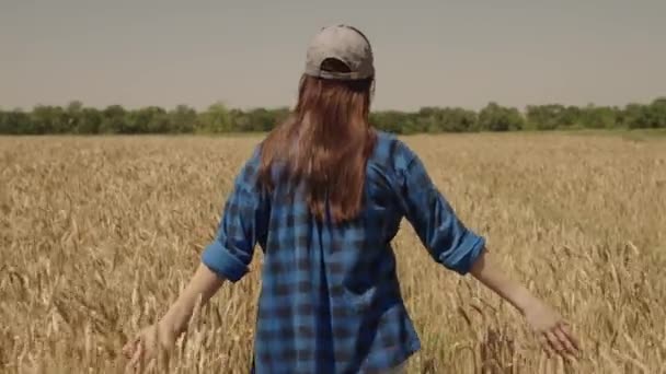 Eine Bäuerin geht durch ein Feld mit Weizen und berührt Ähren mit Getreide, Roggen-Plantagen, Landwirtschaft, ein Agronom überprüft Setzlinge, erntet, macht Mehl und Brot — Stockvideo