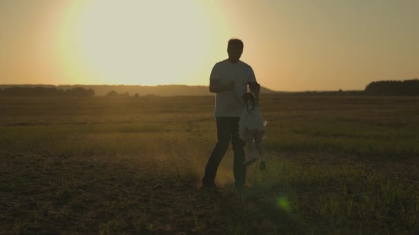 Ο μπαμπάς κάνει κύκλους γύρω από την κόρη του το ηλιοβασίλεμα, σιλουέτα του πατέρα και του παιδιού ενάντια στον ουρανό, ευτυχισμένη οικογένεια, παιδικό όνειρο, να αγαπάς και να παίζεις με το παιδί, το κορίτσι με τους γονείς παίζει χαρωπά, ταξίδι στη φύση — Αρχείο Βίντεο