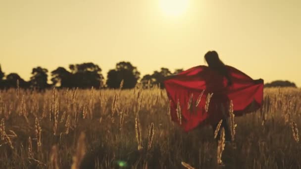 Szczęśliwa dziewczyna grać superbohaterów biegają po zielonym polu w czerwonym płaszczu, płaszcz trzepocze na wietrze. gry dla dzieci i marzenia. Zwolnij trochę. nastolatek marzy o zostaniu superbohaterem. młode dziewczyny w czerwonym płaszczu — Wideo stockowe