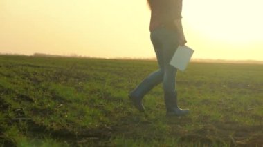 Elinde tablet olan bir çiftçi yeşil buğdaylı bir tarlada yürüyor, kırsalda çalışıyor, bir tarım uzmanı çiftlikteki fideleri kontrol ediyor, yerde yaşamayı seviyor.