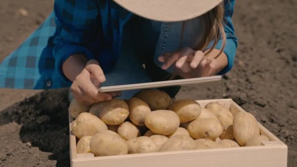一位在平板电脑上工作的农艺师 田里的马铃薯 农民分析庄稼 土豆生意 土地种植 丰硕成果丰硕的年份 蔬菜生产 农村土地 — 图库视频影像
