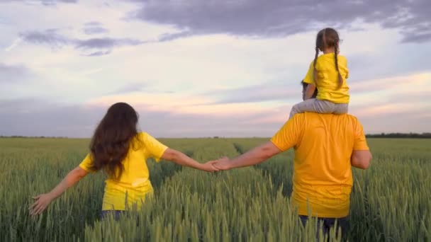 Un agriculteur avec sa femme et un petit enfant sur ses épaules marche dans un champ de blé vert, une famille heureuse, un rêve d'enfant de monter un père, une entreprise familiale, une plantation de seigle, la production de céréales — Video