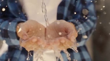 Bir insanın ellerine dökülen su damlaları, güneşin yansıtıcı parıltısında palmiyeleri yıkamak, havada uçan ıslak damlalar, suyun altında fırçalar, yavaş çekim.