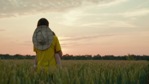 Modern bonde med ett litet barn i famnen går genom fältet med vete, lycklig familj, agronomen kvinna, företag jordbruk, odling grödor i det fria, mognad på marken — Stockvideo