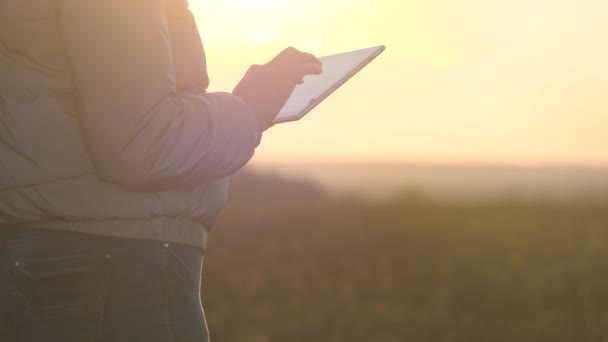 Zemědělství, ruce zemědělce zblízka práce v tabletu, obdělávání podniků v terénu, tuková pole s plodinami, prodej na internetu, vedení venkovského života a práce — Stock video