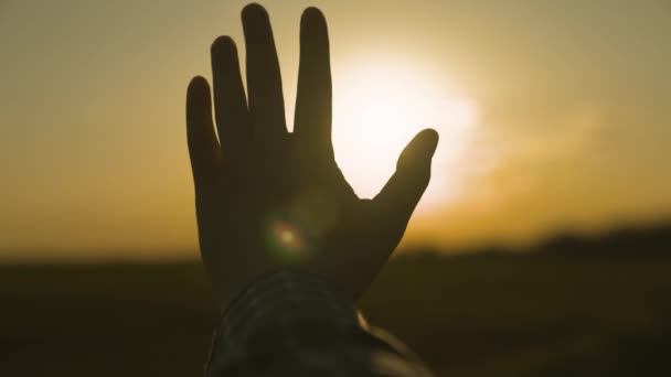 Mano humana al atardecer en el cielo, sueño de felicidad, meditar en los rayos del sol, coger luz naranja brillante, viajar de vacaciones, armonía de disfrutar de la naturaleza y la relajación, conocer el amanecer — Vídeo de stock