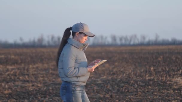 Rolnik pracujący w tabletkach i chodzący na roli, uprawiający ziemię, przygotowujący glebę do sadzenia nasion roślin uprawnych, zajmujący się produkcją warzyw i zbóż, sezonem sadzenia w ziemi. — Wideo stockowe