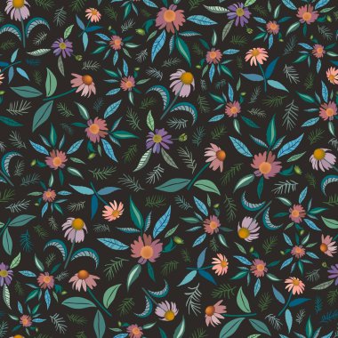 Coneflower alan bitkisel ilaçları ve aromaterapi konsepti. Yapraklı çiçekler ve koyu arkaplanda pastel renkli dallar. Ekinezya, yaygın olarak koni çiçeği olarak adlandırılan ve çeşitli hastalıklar için yıllarca kullanılan bir bozkır bitkisidir..