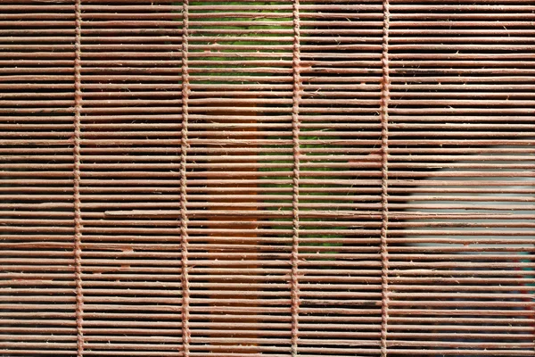 Wood Blinds — Stock Photo, Image