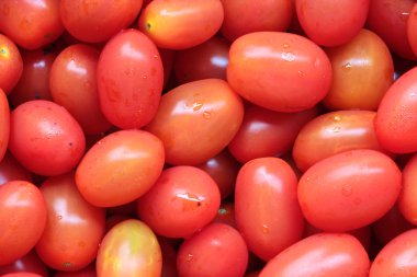 Bir grup taze domates.