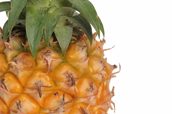 Čerstvý ananas izolované na bílém pozadí — Stock fotografie