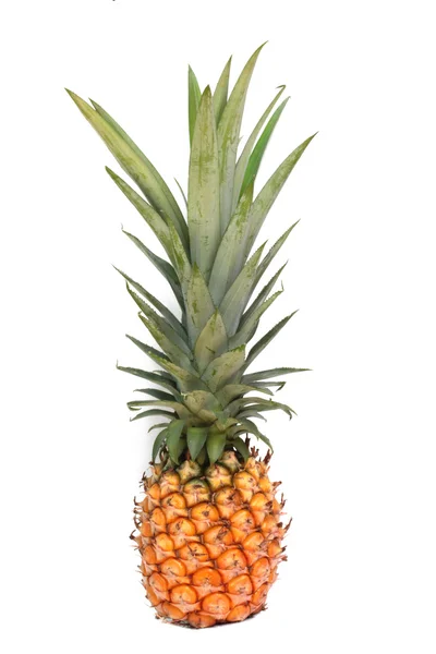 Čerstvý ananas izolované na bílém pozadí — Stock fotografie