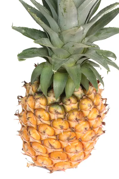 Čerstvý ananas izolované na bílém pozadí — Stock fotografie