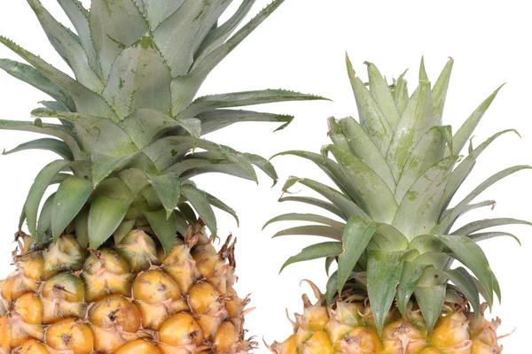 Świeży ananas izolowany na białym tle — Zdjęcie stockowe