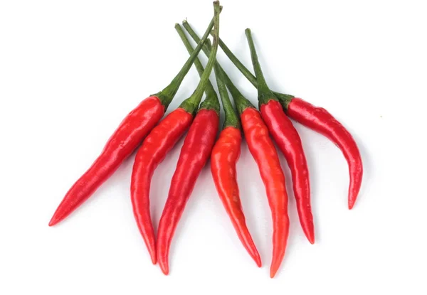 Chili pepper isolated on a white background — Stock Photo, Image