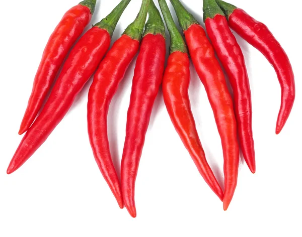 Chili pepper isolated on a white background — Stock Photo, Image