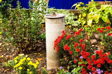 Kuyu borusunun yanında kırmızı kasımpatılar