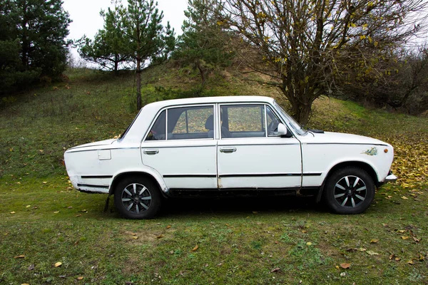 Carro Branco Fica Perto Floresta Prado Verde — Fotografia de Stock