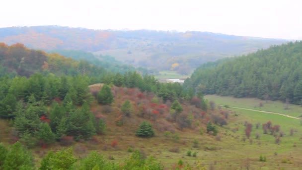 In the distance you can see a photo of a pine forest from a hill.Ukraine — Stock Video