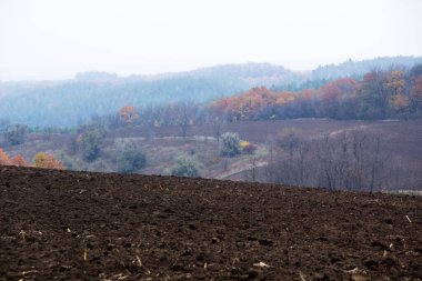 Ormanın yakınındaki tarlaya sürülmüş topraklar.